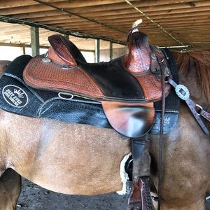 14.5 Bob Marshall Treeless Barrel Saddle